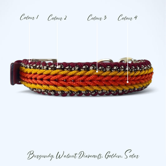 Cascade Mini - Design Your Own - Premium Dog Collar
