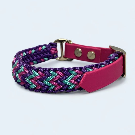 small pink and purple dog collar on a light background.