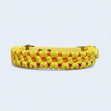 Daisychain - Sunny - Premium Dog Collar