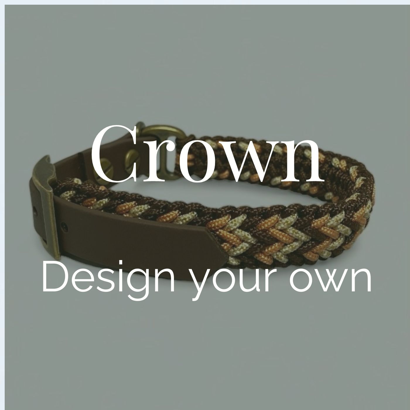 Design your Own Dog Collar