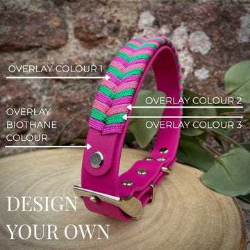 Classic Chameleon Overlay - Design your Own