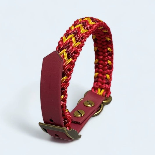 red and gold small dog collar upright on a light background.