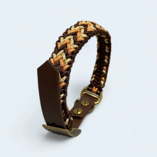 Brown and gold small dog collar with gold buckle standing upright on a light surface.