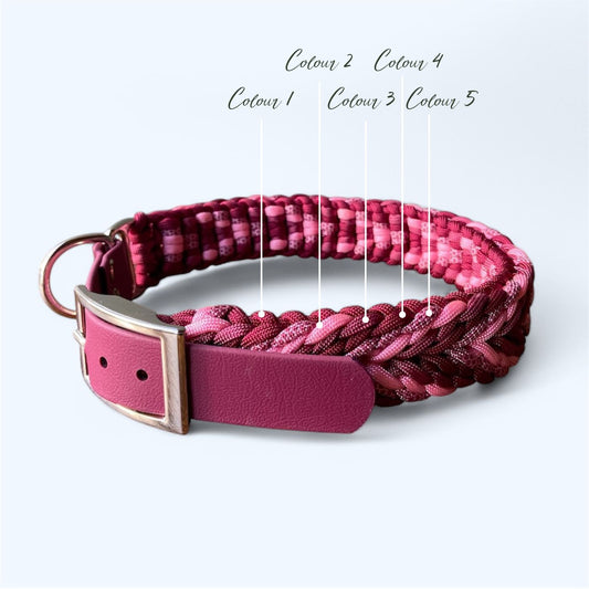 Valentine - Design Your Own - Premium Dog Collar