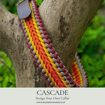 Cascade - Design Your Own - Premium Dog Collar