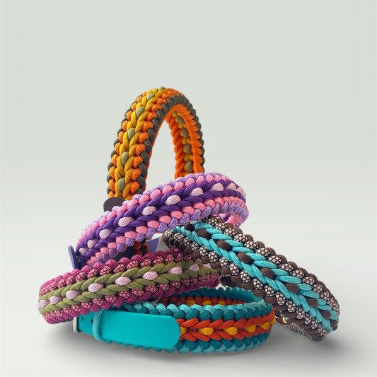 Cascade Narrow | Premium Paracord Dog Collar
