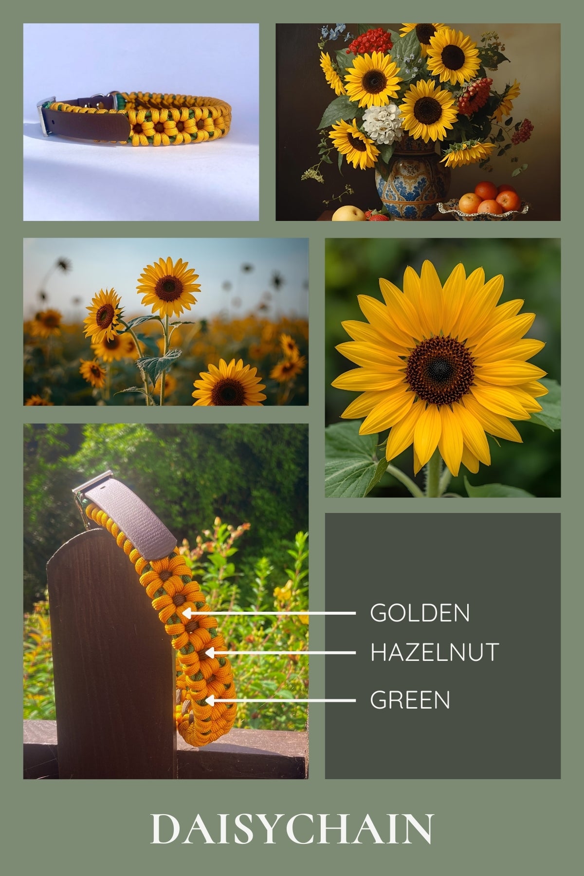 Collored Collars Colour Inspiration | Custom Premium Dog Collars | Handmade in Devon