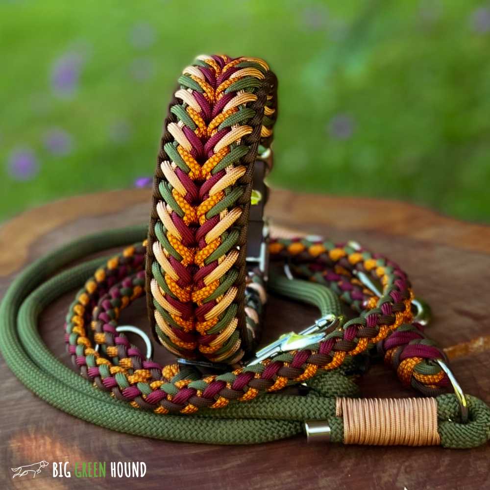 Spontaneous - Design Your Own Dog Collar