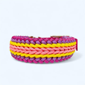 Cascade - Sherbet - Premium Dog Collar