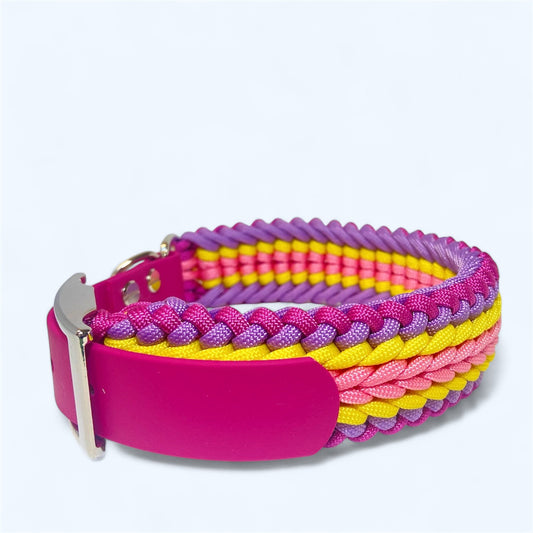 Cascade - Sherbet - Premium Dog Collar