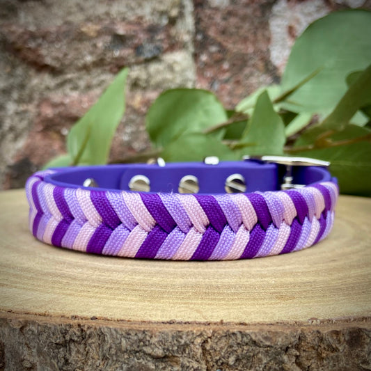 Classic Chameleon Overlay - Amethyst