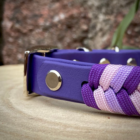 Chameleon Collar Base Set - Amethyst