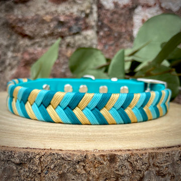 Chameleon Collar Base Set - Riviera