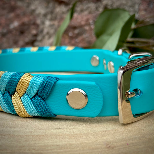 Chameleon Collar Base Set - Riviera
