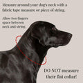 The Daisychain Collar - Big Green Hound